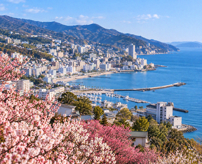 【長榮航空】伊豆櫻花梅花雙饗宴5日

